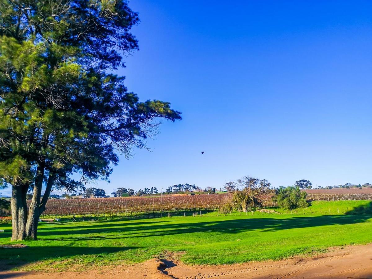401 Rozendal Cottages Stellenbosch Exteriör bild