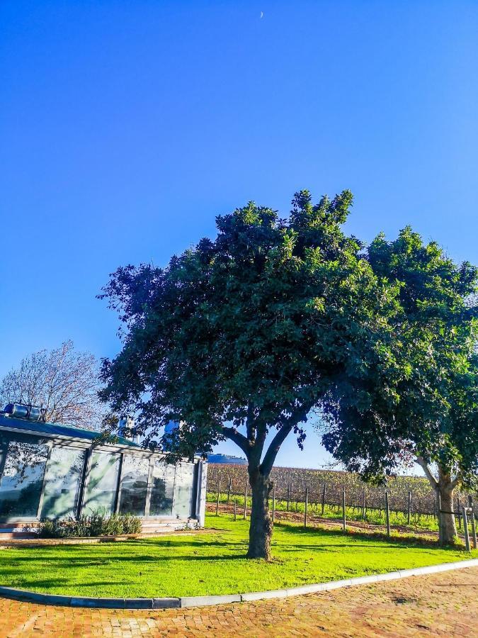401 Rozendal Cottages Stellenbosch Exteriör bild